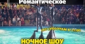 Новое шоу "Дарим мечту" в Одесском дельфинарии НЕМО